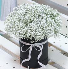 Цветочная композиция из Гипсофила в шляпной коробке #REPLACE_PRED# Вырубово