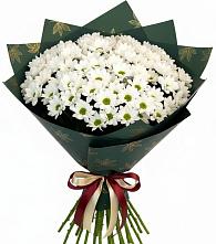 Букет цветов из:  Хризантемы #REPLACE_PRED# Вырубово