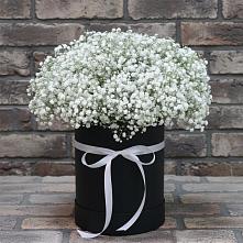 Цветочная композиция из Гипсофила в шляпной коробке #REPLACE_PRED# Вырубово