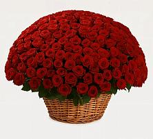 Премиум букет из: Розы в Вырубово